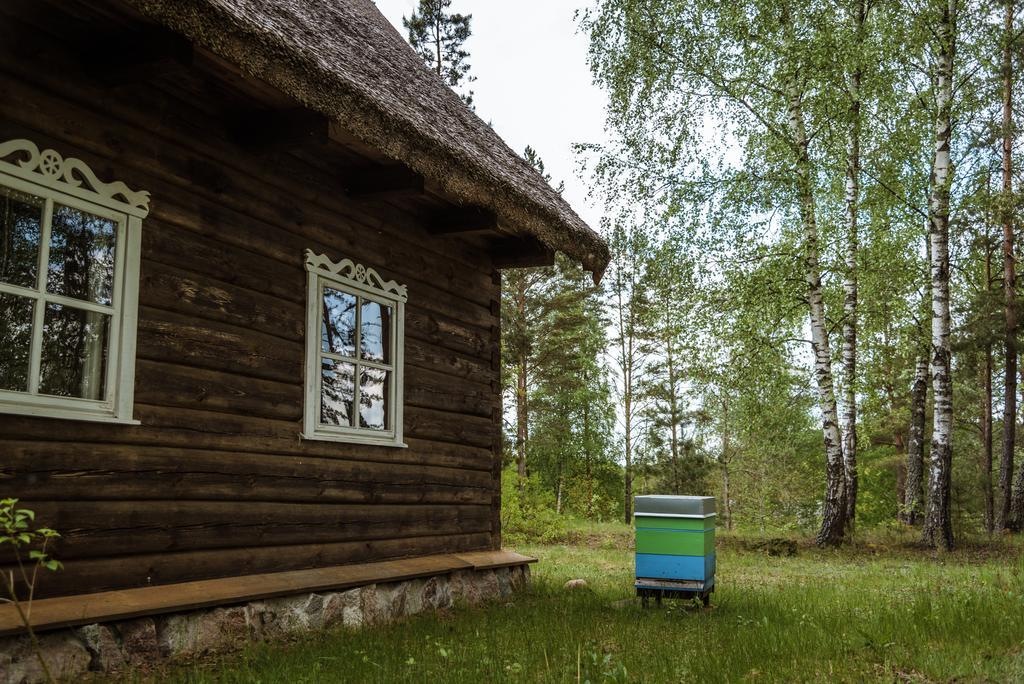 Vabalyne Affittacamere Vilkiskes Esterno foto