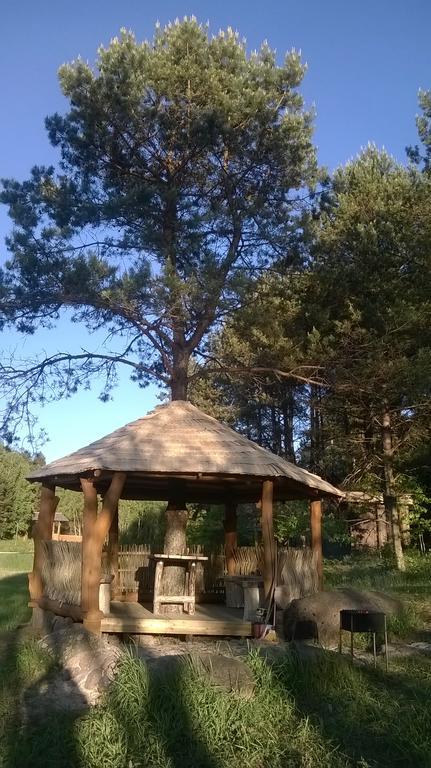 Vabalyne Affittacamere Vilkiskes Esterno foto